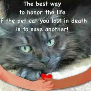 Meet your Posher, Noreen